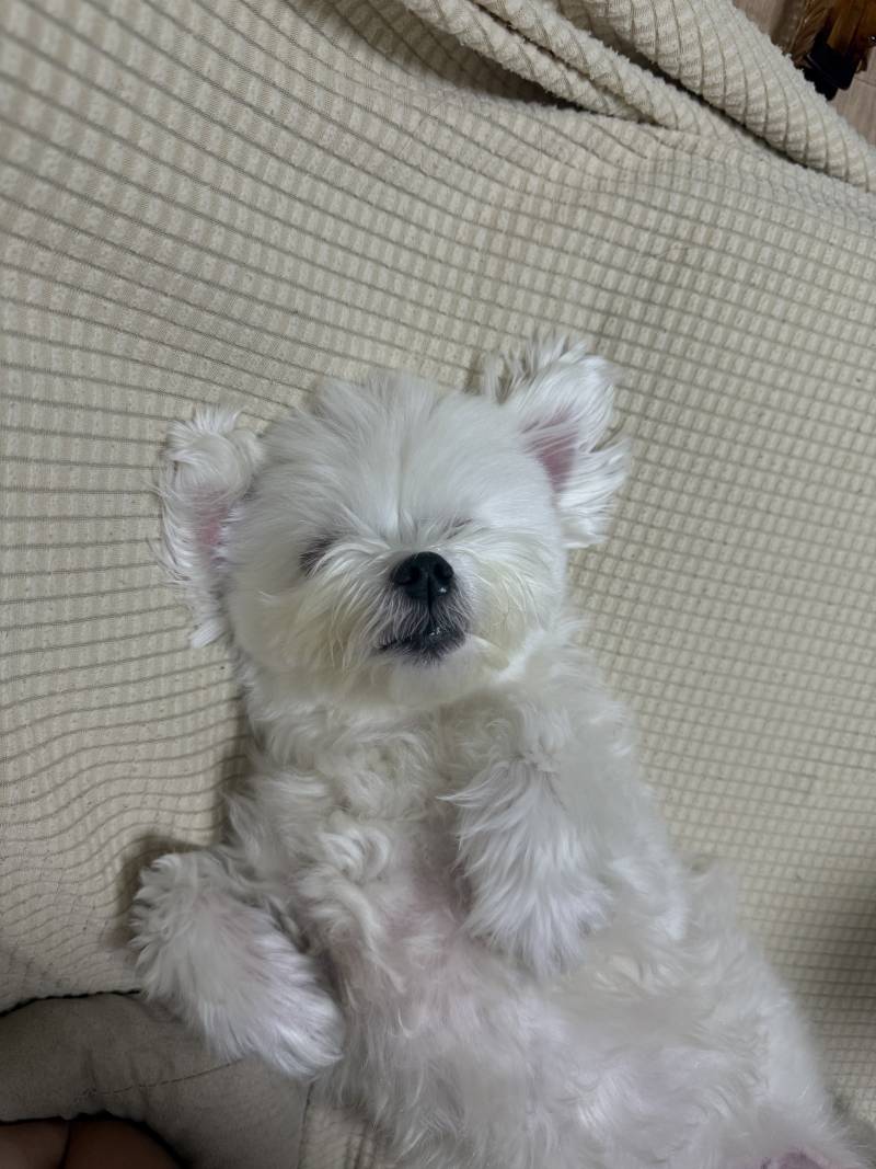 [잡담] 저기 너무 거하게 주무시는데... | 인스티즈