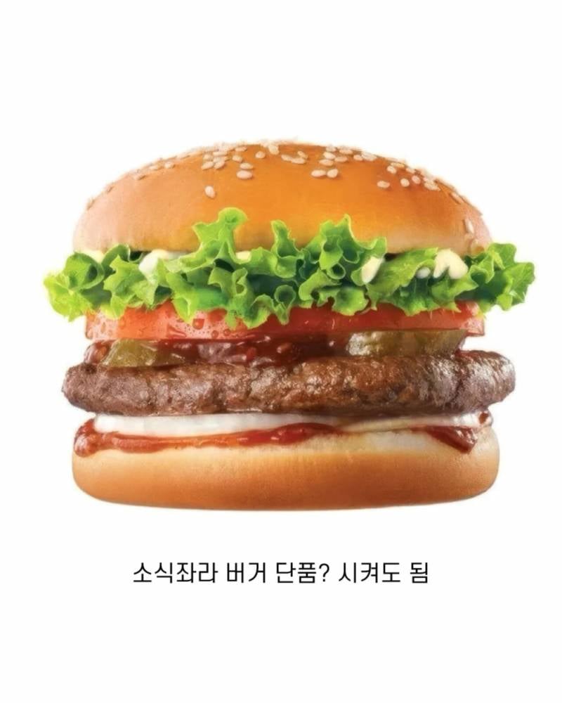요즘 햄버거가 𝙅𝙊𝙉𝙉𝘼 핫한 이유..JPG | 인스티즈