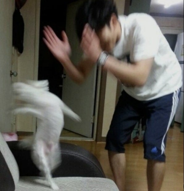 [잡담] 이광수 변우석 완전 이거임 🐶👏🏻 | 인스티즈