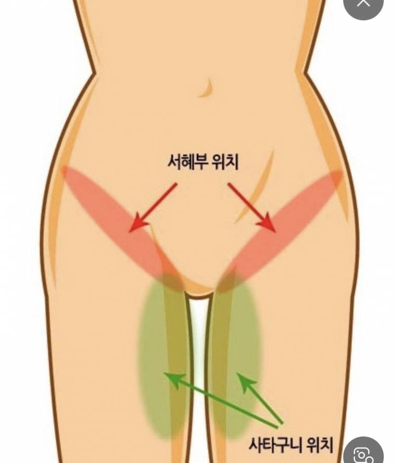 [잡담] 피티 운동하고나서 이쪽이 아픈데 잘못한건가? | 인스티즈