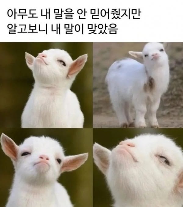 [잡담] 엣헴 1찍 강원도민입니다 | 인스티즈