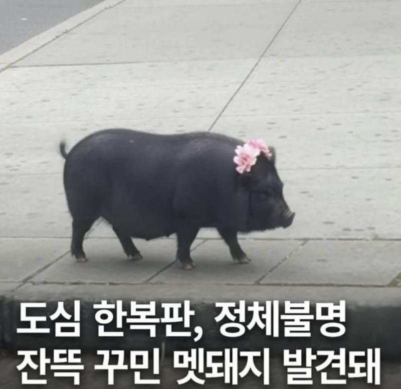 [잡담] 나 오늘 뉴스나왔다 | 인스티즈