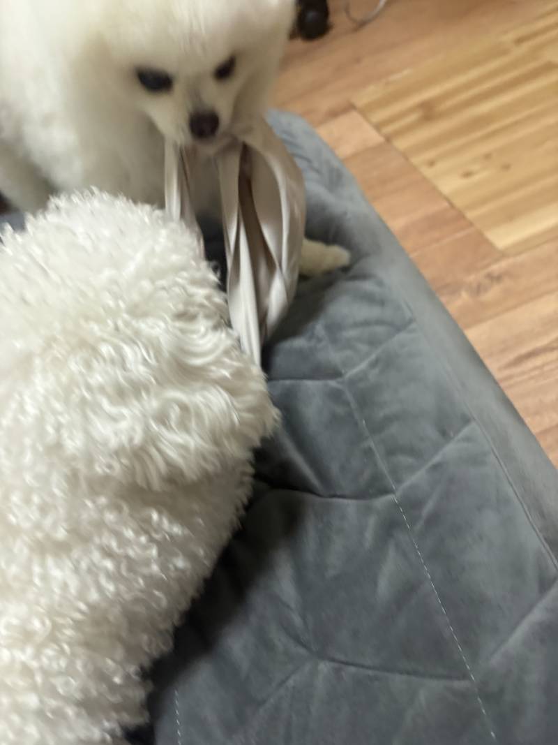 [잡담] 이들 왜 내 빤스로 임? | 인스티즈