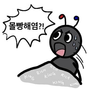 도구리 | 인스티즈