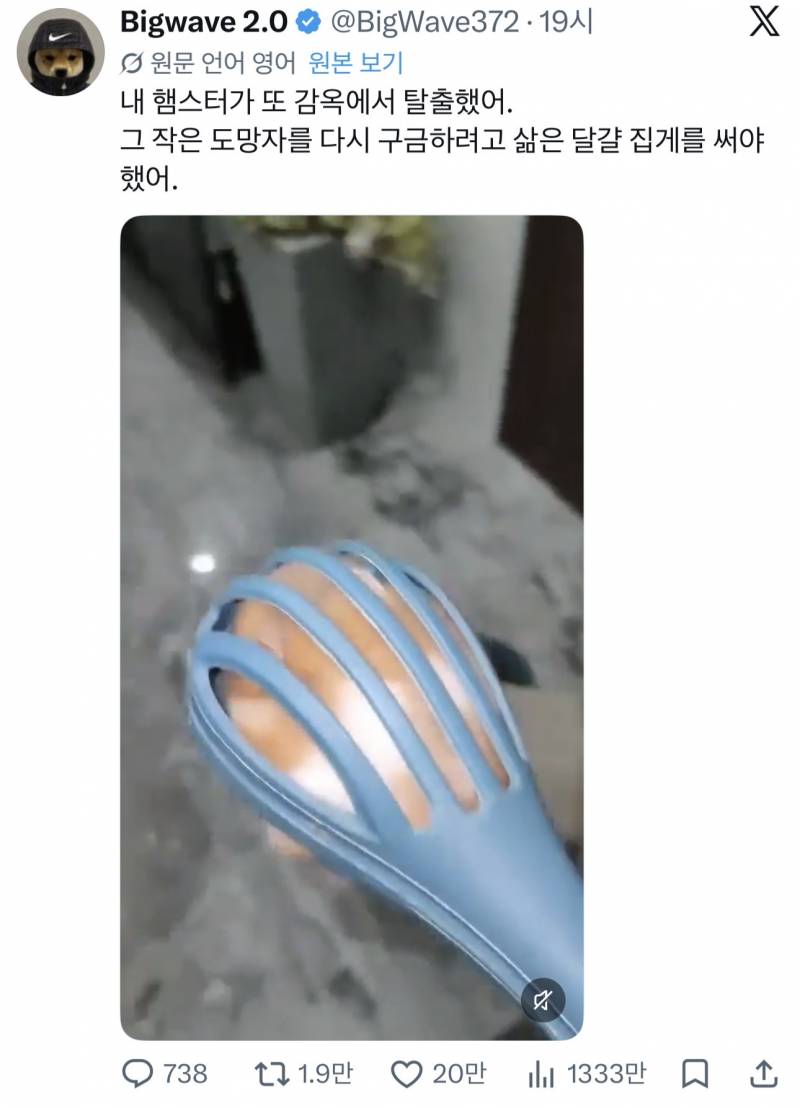 [잡담] 햄스터 개웃긴다ㅋㅋㅋㅋㅋㅋㅋㅋㅋㅋ | 인스티즈