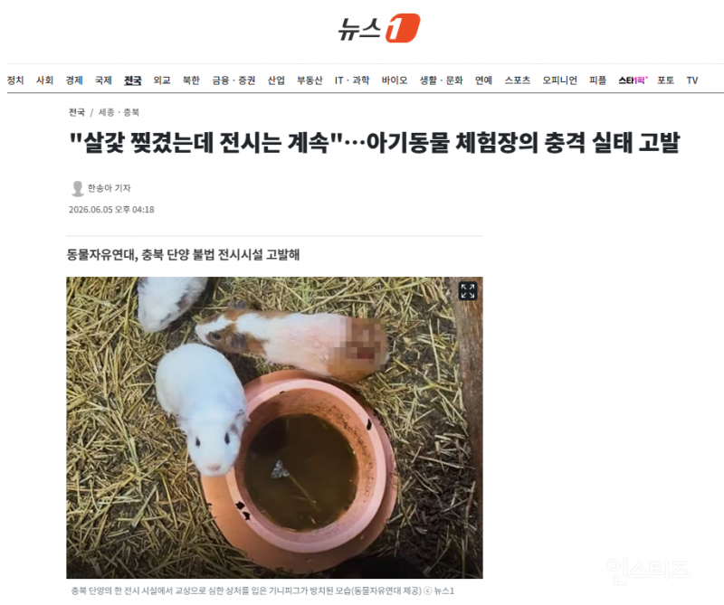 "살갗 찢겼는데 전시는 계속"…아기동물 체험장의 충격 실태 고발 | 인스티즈