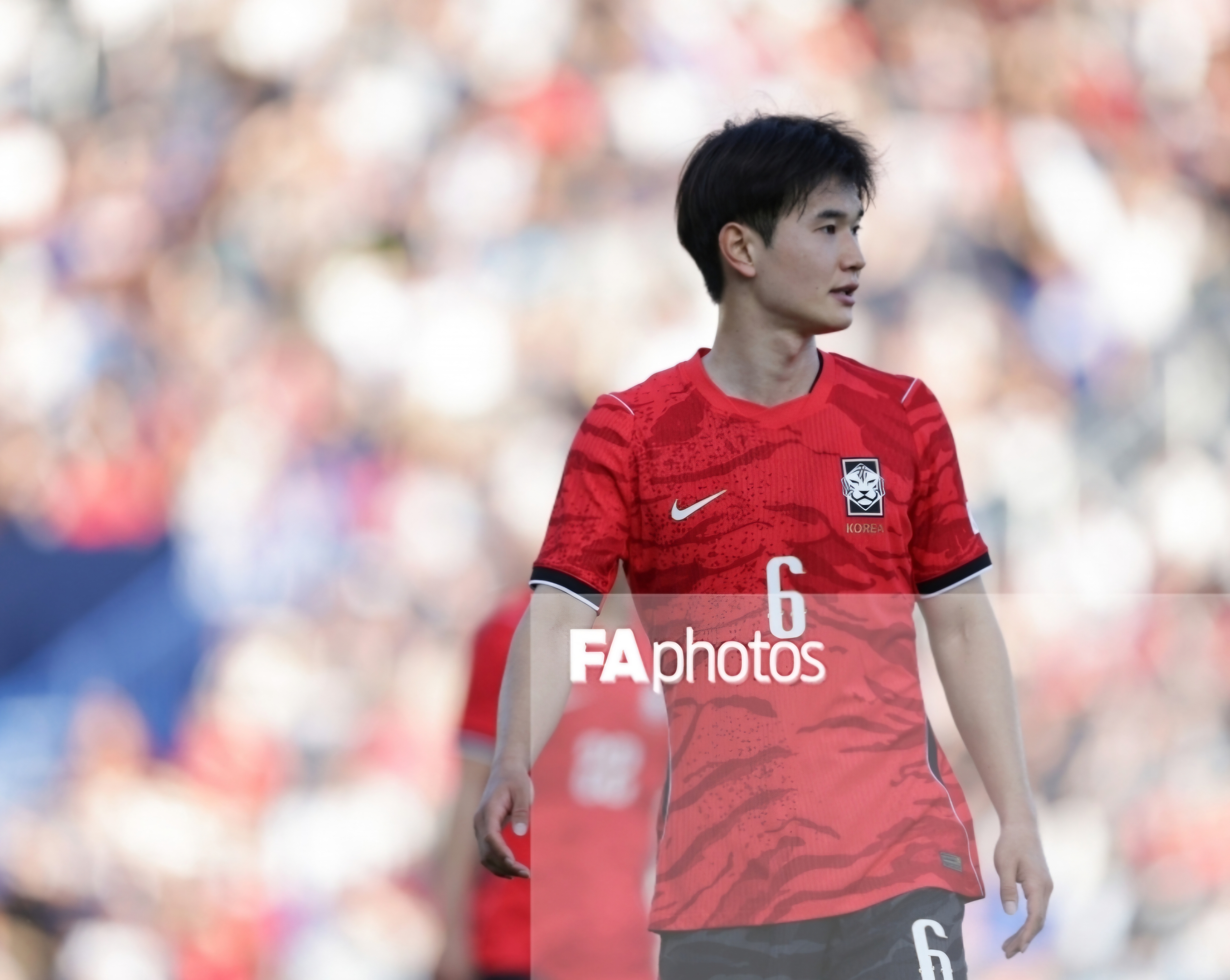 [정보/소식] 북중미 월드컵 D-7) 대한민국 국가대표 26인 소개 (사진 많음!) | 인스티즈