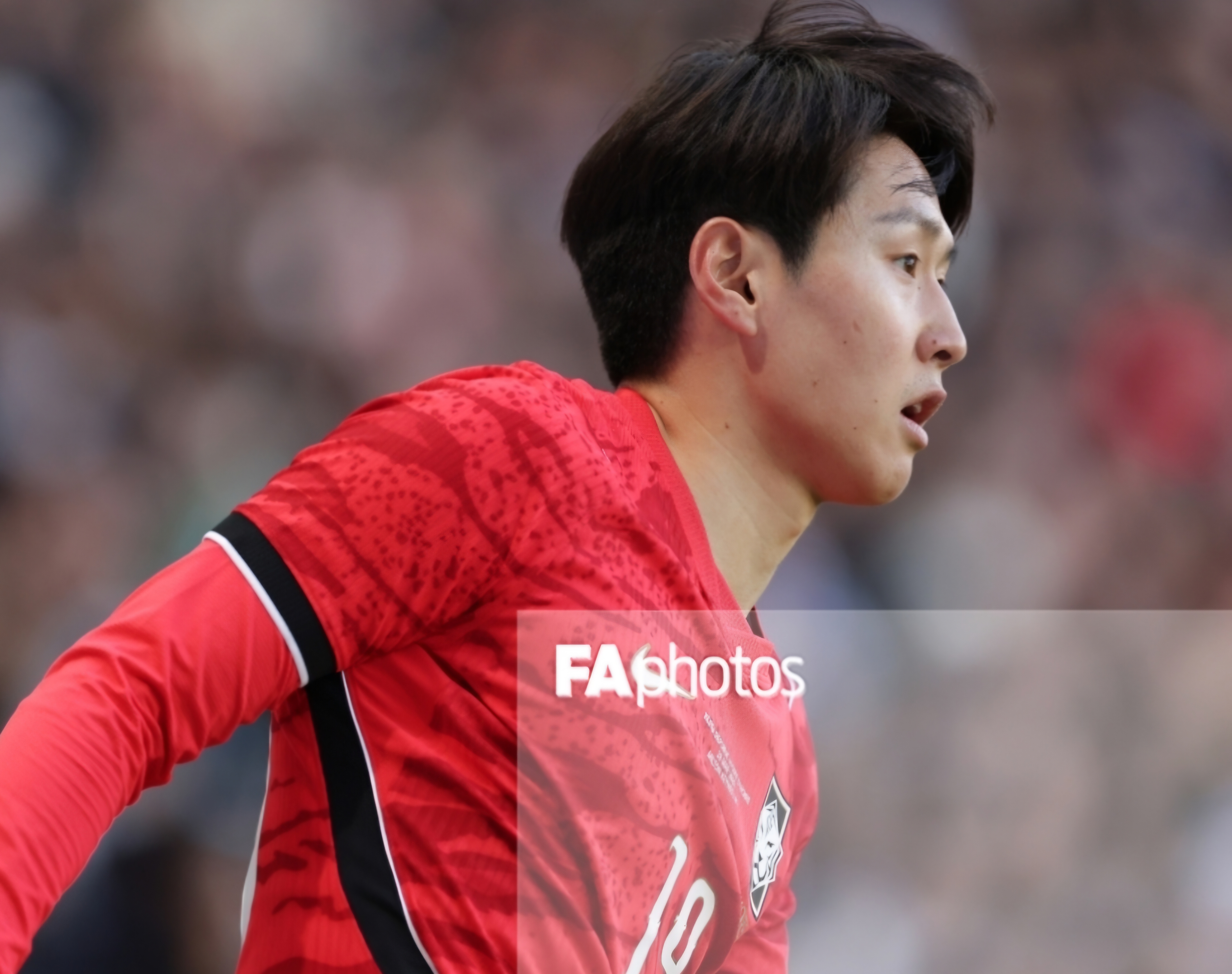[정보/소식] 북중미 월드컵 D-7) 대한민국 국가대표 26인 소개 (사진 많음!) | 인스티즈