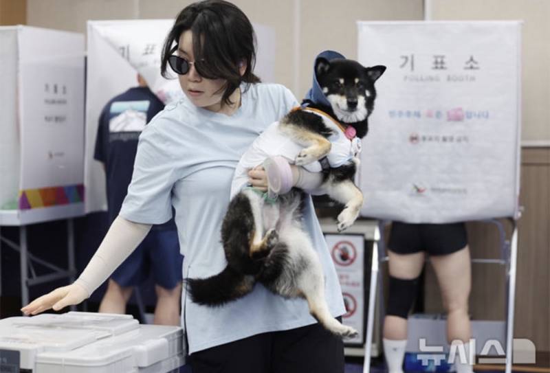 [잡담] 강아지도 투표권 있는 거 알아? | 인스티즈