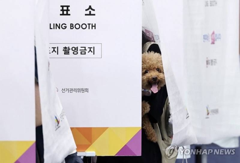 [잡담] 강아지도 투표권 있는 거 알아? | 인스티즈