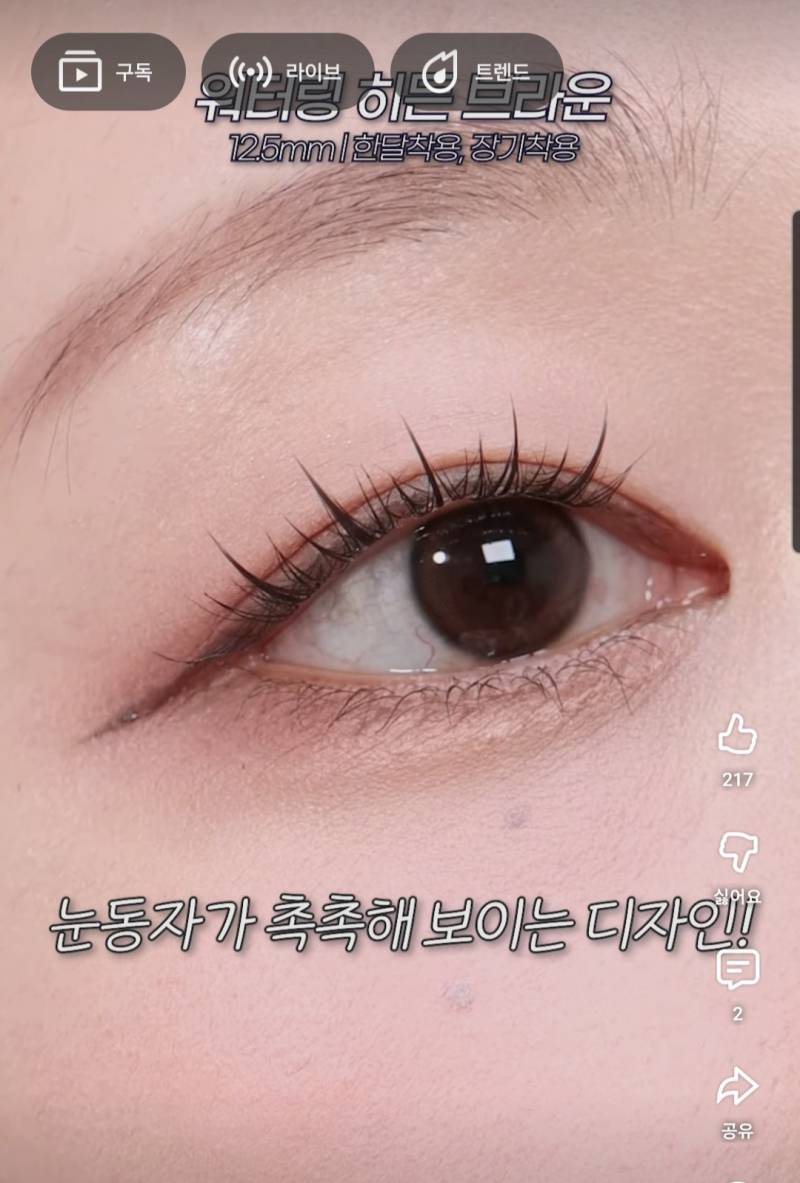 [잡담] 렌즈미 렌즈 중에 이거 써본 사람? | 인스티즈