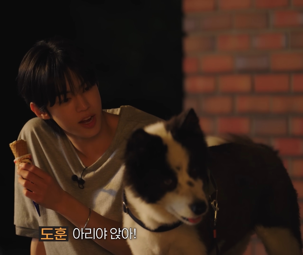 [잡담] 도훈이랑 아리 🐶 너무 예쁘고 귀여운 그림이다 | 인스티즈