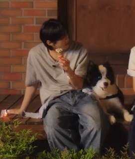 [잡담] 도훈이랑 아리 🐶 너무 예쁘고 귀여운 그림이다 | 인스티즈