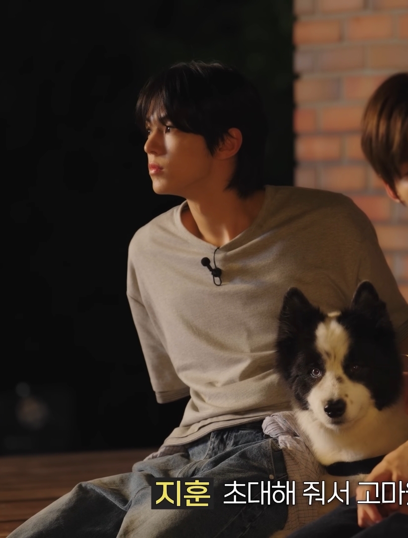[잡담] 도훈이랑 아리 🐶 너무 예쁘고 귀여운 그림이다 | 인스티즈