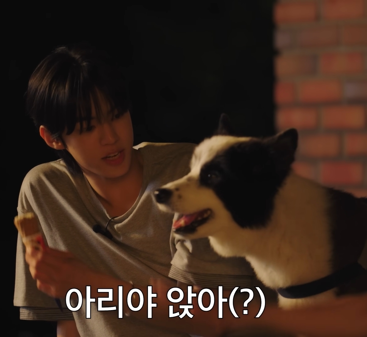 [잡담] 도훈이랑 아리 🐶 너무 예쁘고 귀여운 그림이다 | 인스티즈