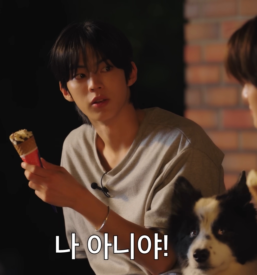 [잡담] 도훈이랑 아리 🐶 너무 예쁘고 귀여운 그림이다 | 인스티즈