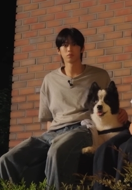 [잡담] 도훈이랑 아리 🐶 너무 예쁘고 귀여운 그림이다 | 인스티즈