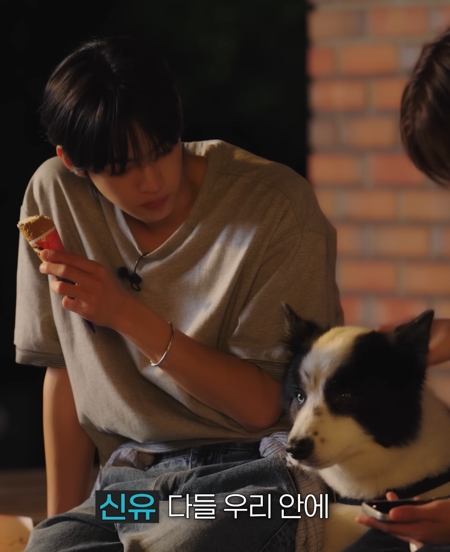 [잡담] 도훈이랑 아리 🐶 너무 예쁘고 귀여운 그림이다 | 인스티즈