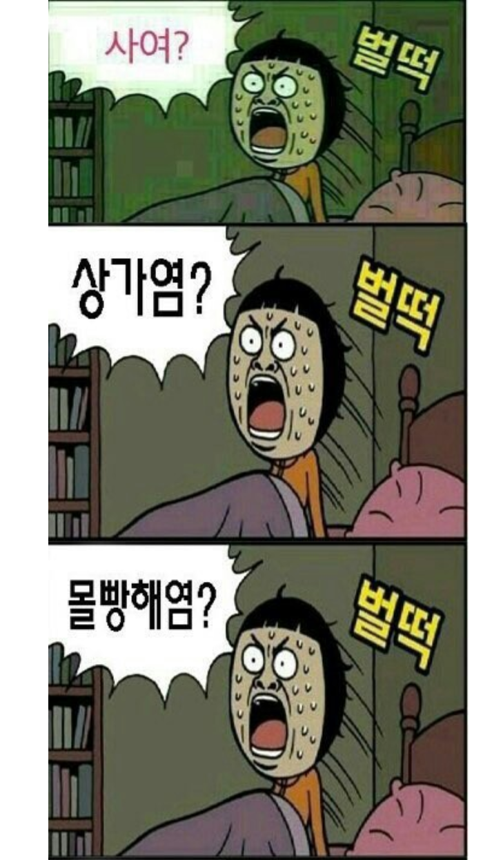 [잡담] 내가 본 인티 주린이들 | 인스티즈