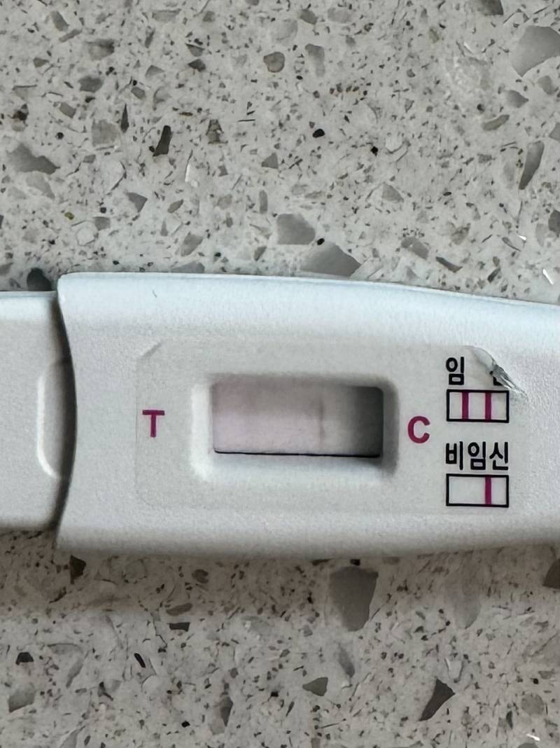 [잡담] 이거 임신 맞을까….? | 인스티즈