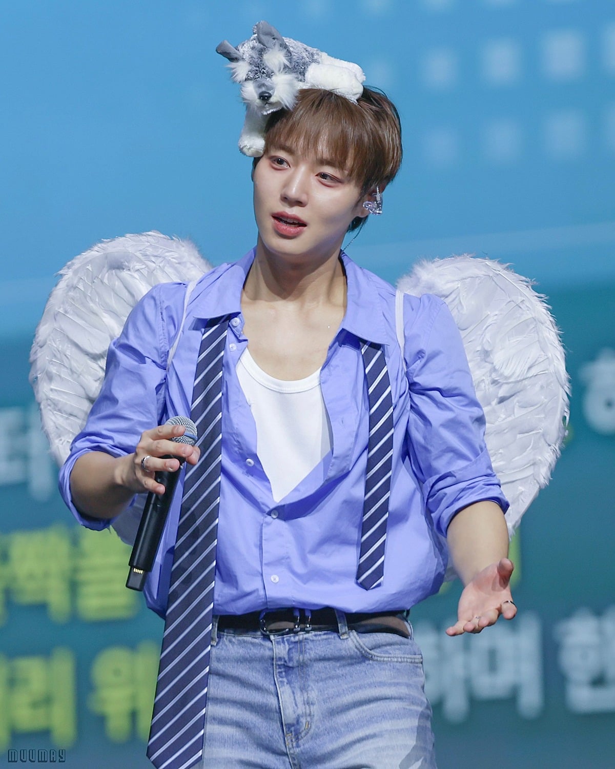 [잡담] 초절식 그만두고 정석으로 관리하고 있다는 박지훈 근황 | 인스티즈