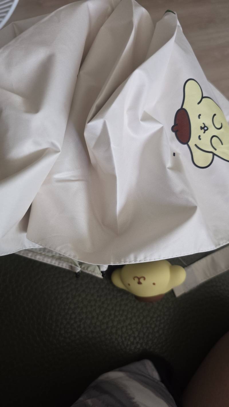 [잡담] 37살이 이런 양산쓴다는데 줘야하나 | 인스티즈
