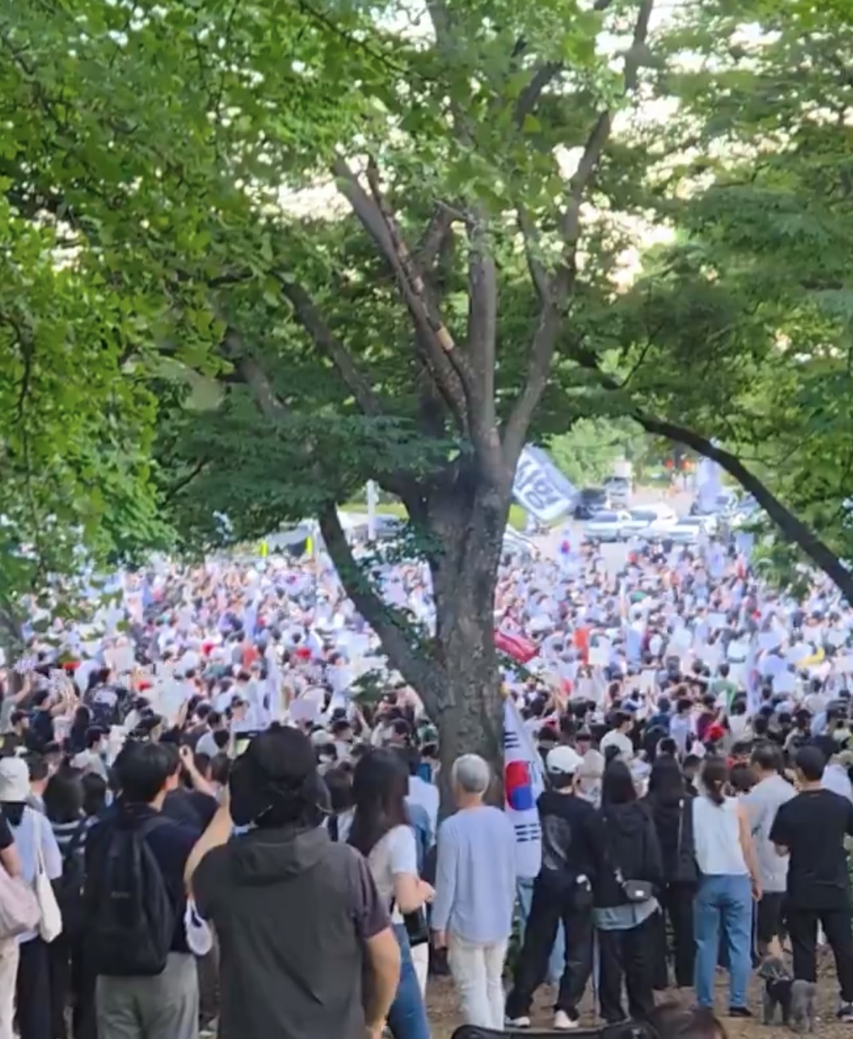 [잡담] 6월 6일 올림픽공원에서 현충일 기념행사 있습니다 | 인스티즈