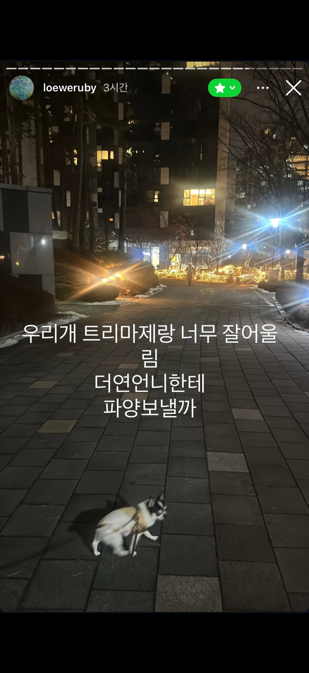 [마플] (퍼옴) 헉...김지민 스토리 | 인스티즈