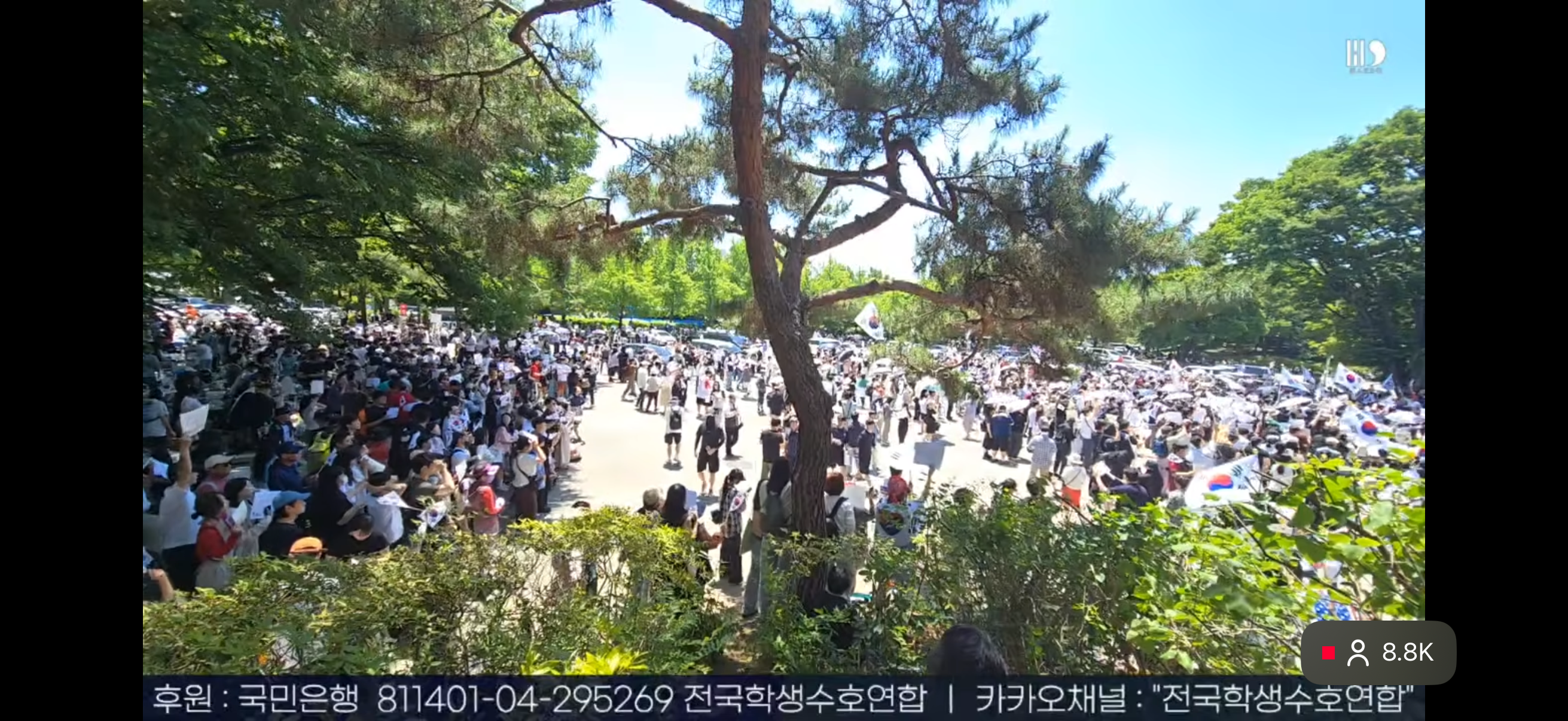 [정보/소식] 실시간 핸드볼 | 인스티즈