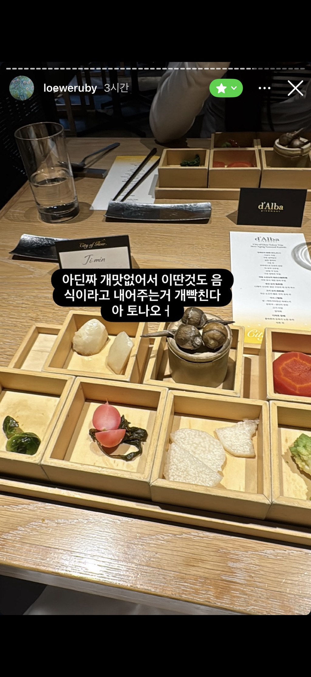 [잡담] 근데 인플루언서 광고 받는 직업 아님? 이런거 올리면 브랜드도 손해일거같은데 | 인스티즈