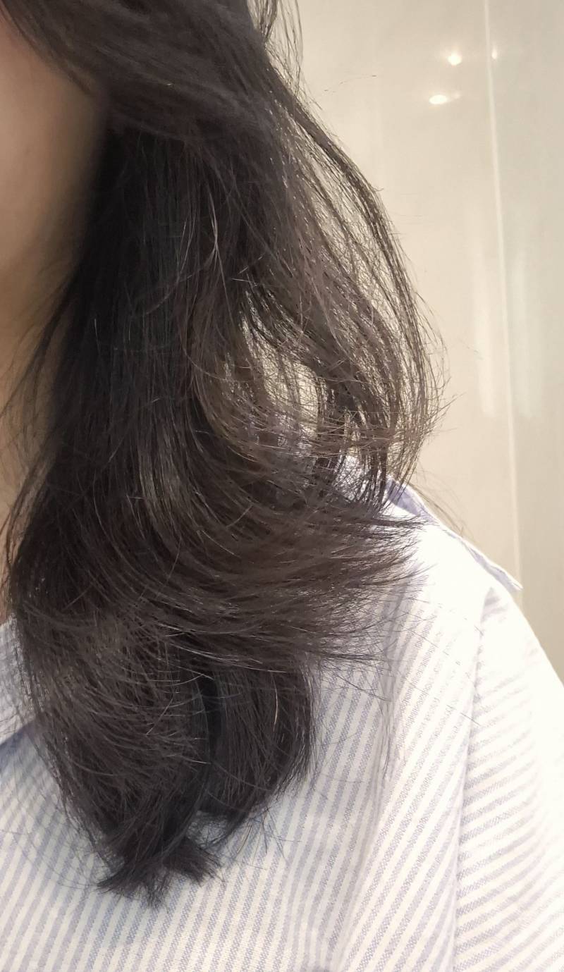[잡담] 미용실에서 이렇게 해주세요 하면 벌어지는 일 | 인스티즈