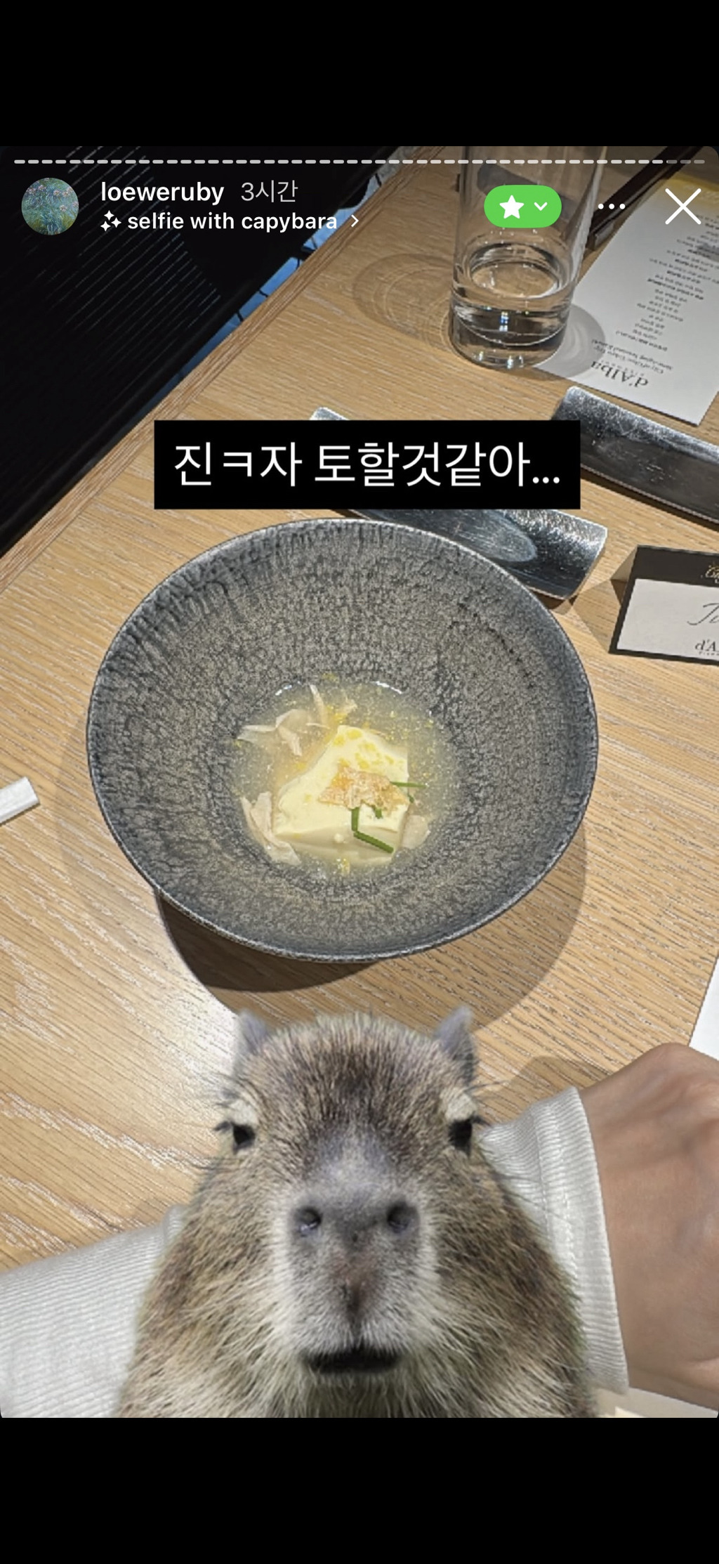 [잡담] 근데 인플루언서 광고 받는 직업 아님? 이런거 올리면 브랜드도 손해일거같은데 | 인스티즈