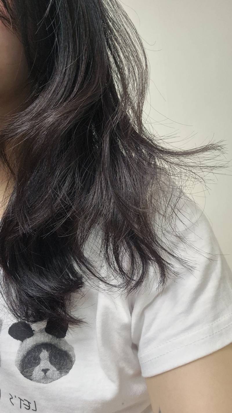 [잡담] 미용실에서 이렇게 해주세요 하면 벌어지는 일 | 인스티즈