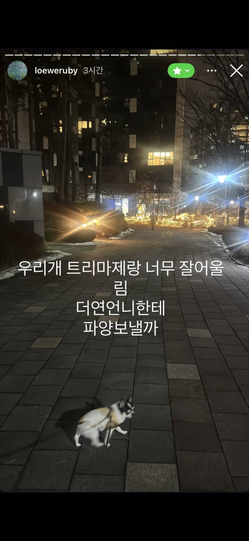 현재 통째로 유출당한 핱시 김지민 친친인스스..JPG | 인스티즈