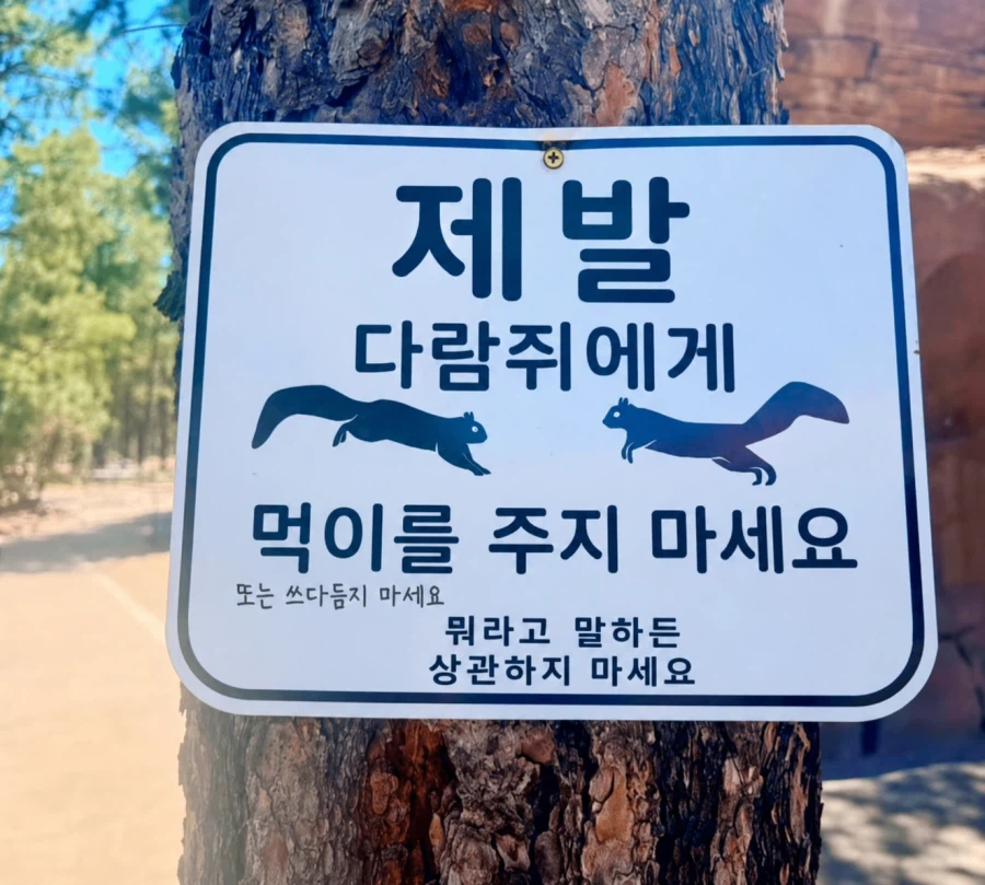 ㄹㅇ 쉽지않은.. 제발 다람쥐 먹이 주지 말라는 경고 무시하기.. | 인스티즈