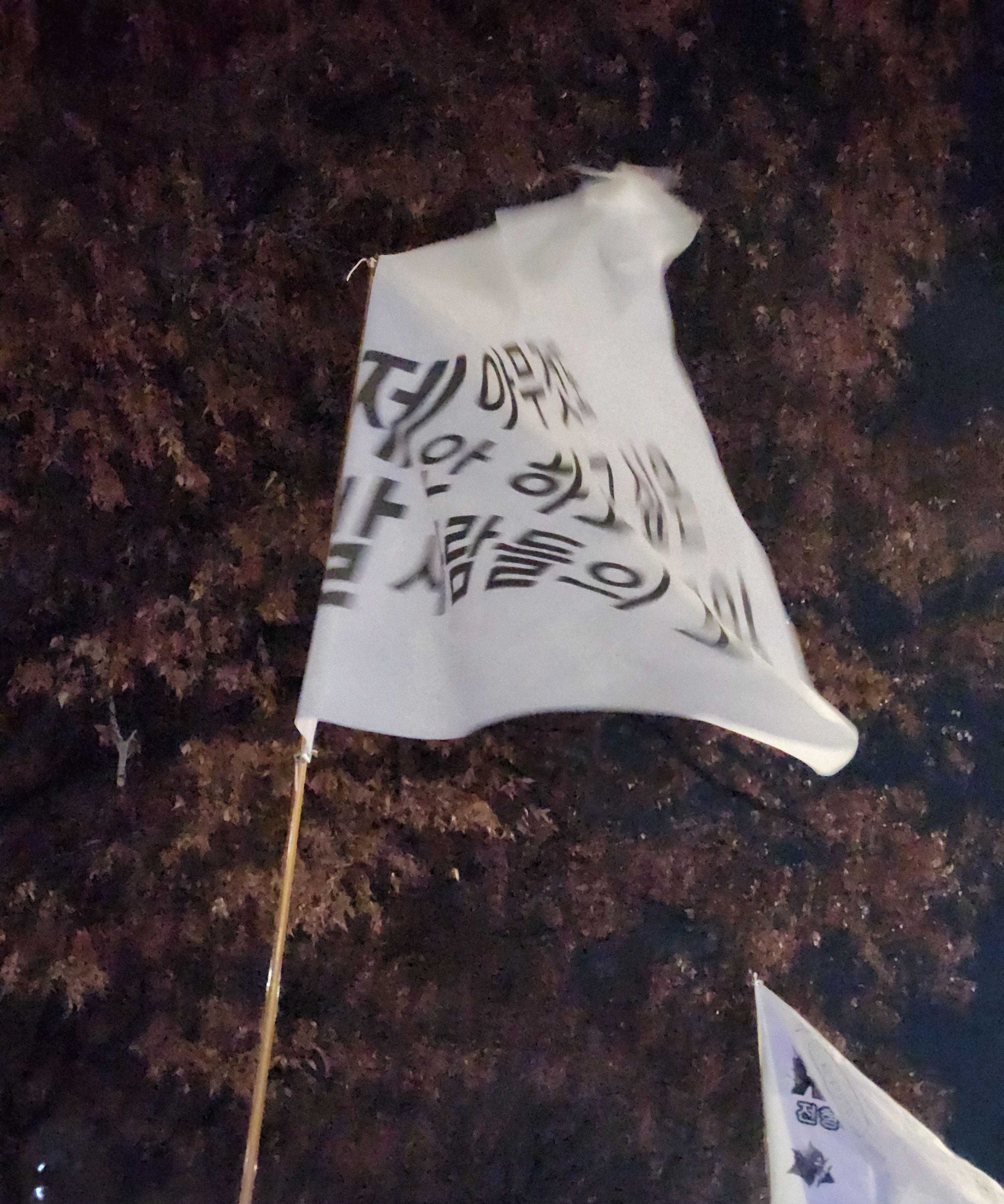 [잡담] 탄핵시위때 감동 받았던 기억 갑자기 생각남 시위전날 넘어져서 무릎 박살나고 | 인스티즈