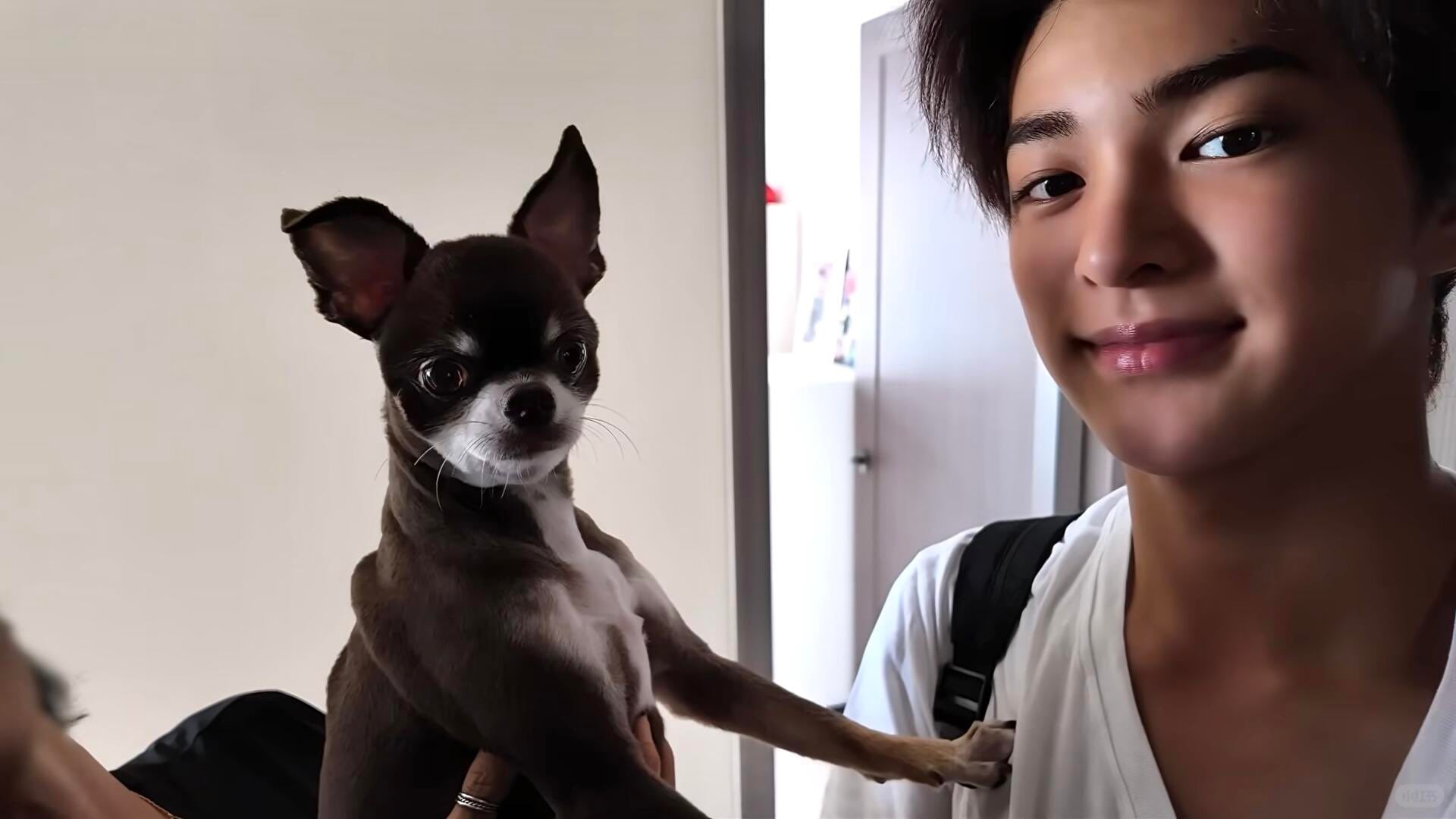 [잡담] 건호 강아지모에화 종이 치와와인것도 ㄱㅇㅇ | 인스티즈