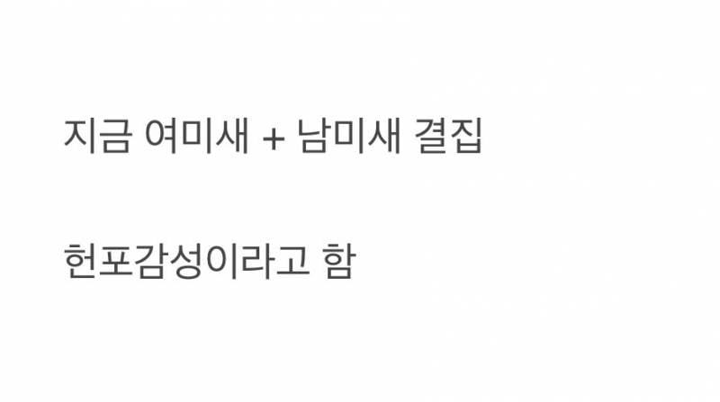 현재 극우없냐 극우 소개시켜줘야쥬🥴 수준이라는 잠실사태..JPG | 인스티즈