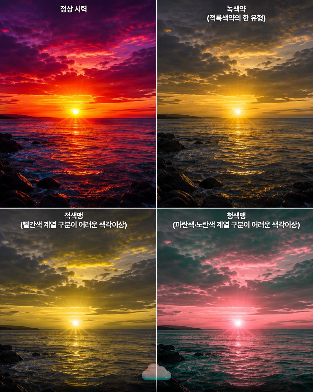 색을 구분하기 어려운 사람들은 이렇게 세상을 본다 | 인스티즈