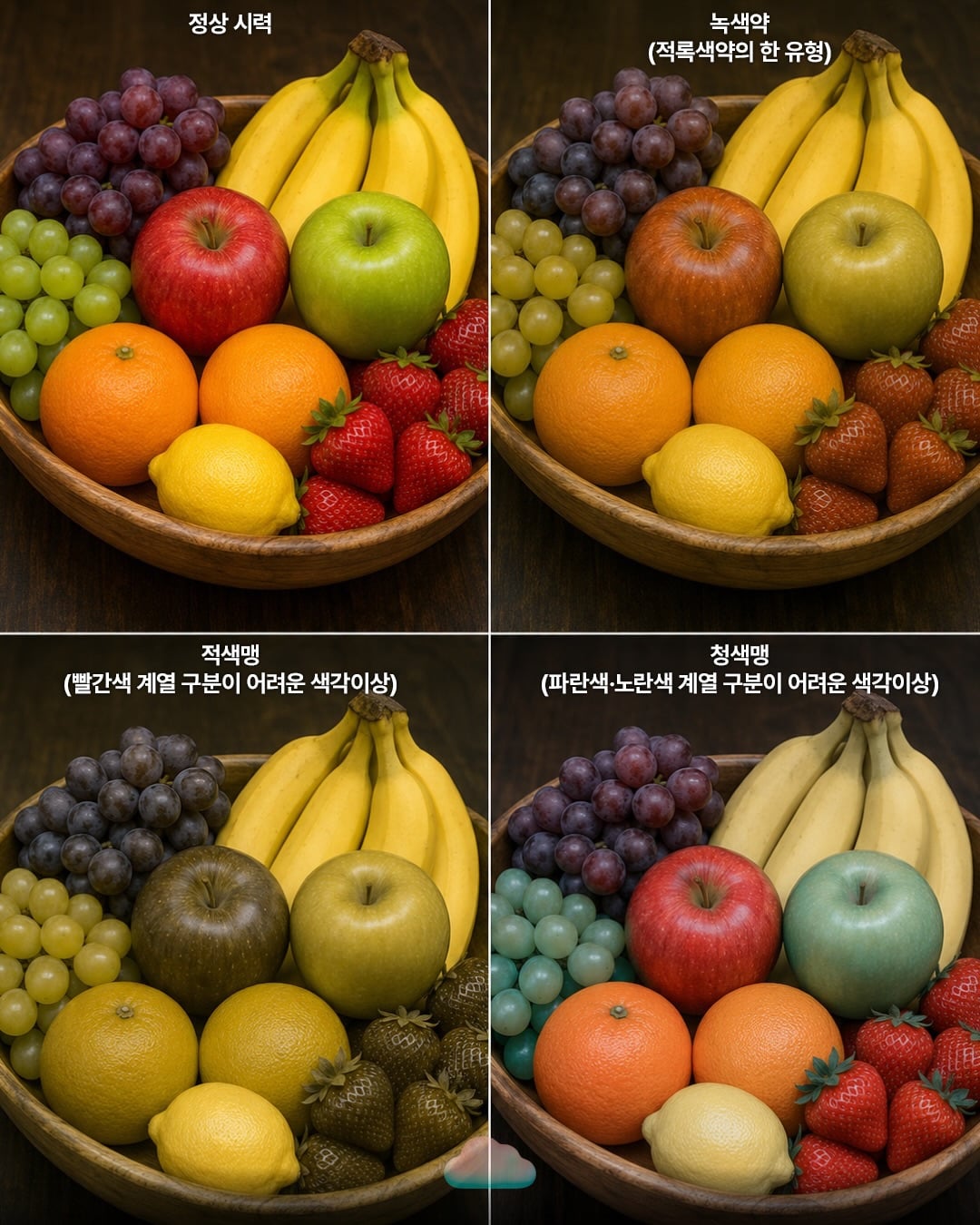 색을 구분하기 어려운 사람들은 이렇게 세상을 본다 | 인스티즈