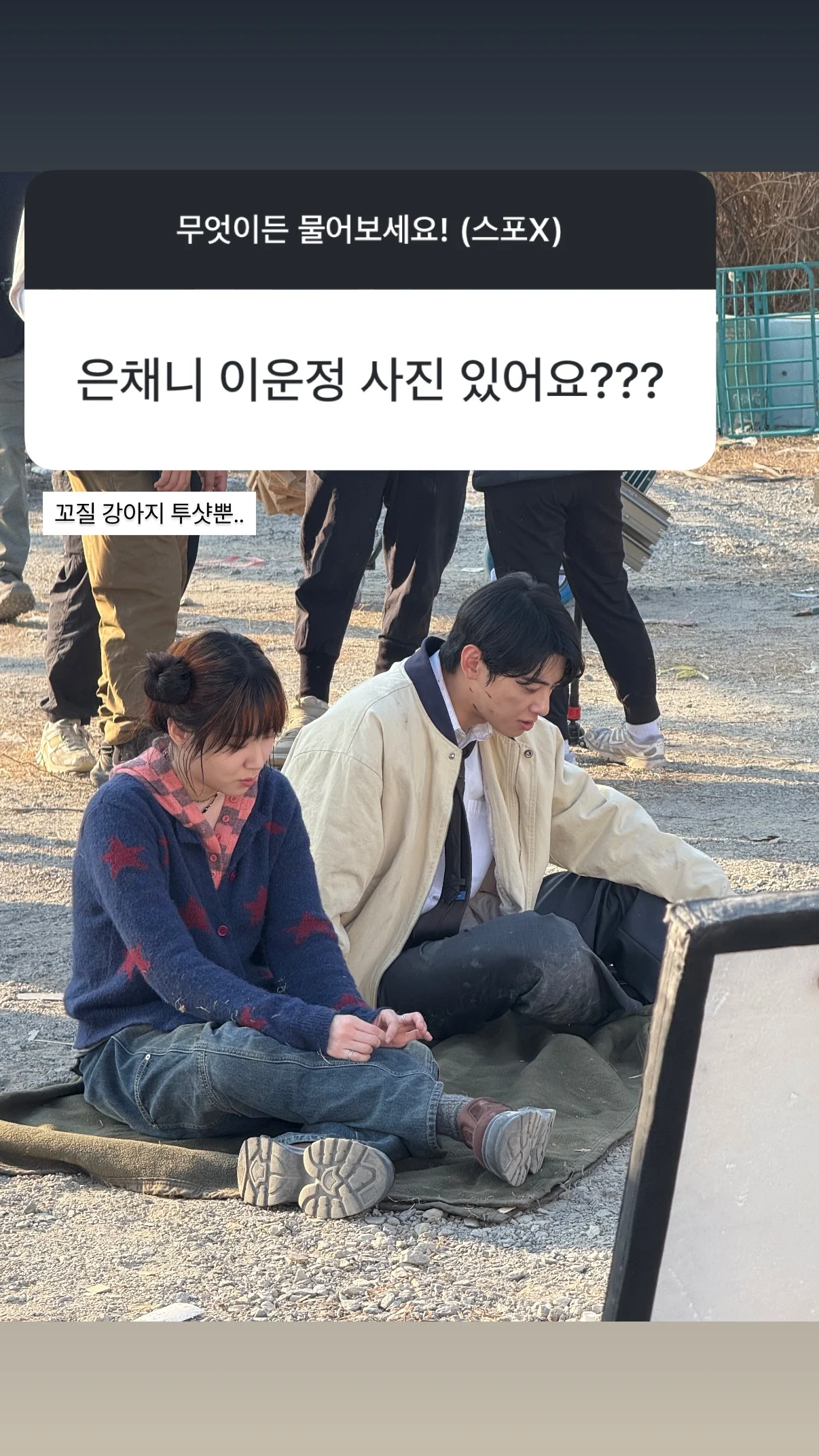 [잡담] 원더풀스) 꼬질강아지들 귀여워 | 인스티즈