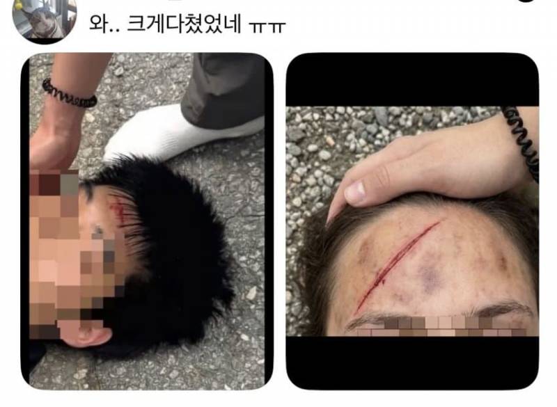 [잡담] 올림픽 공원 가지마 얘들아.. | 인스티즈