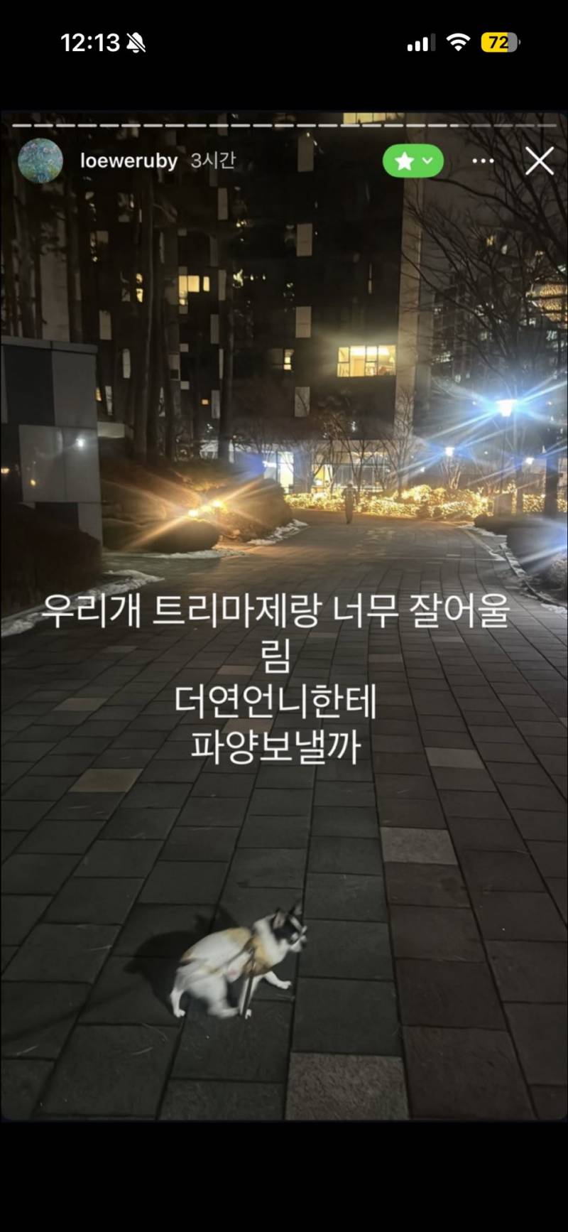 [잡담] 김지민 스토리 이것도 충격인데 | 인스티즈