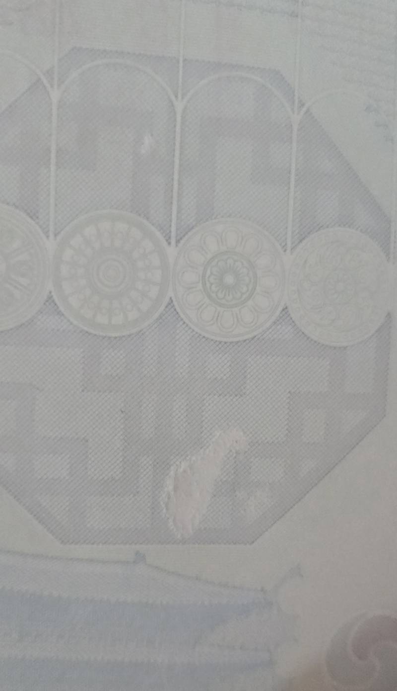 [잡담] 이거 여권 재발급 받아야되지..? | 인스티즈