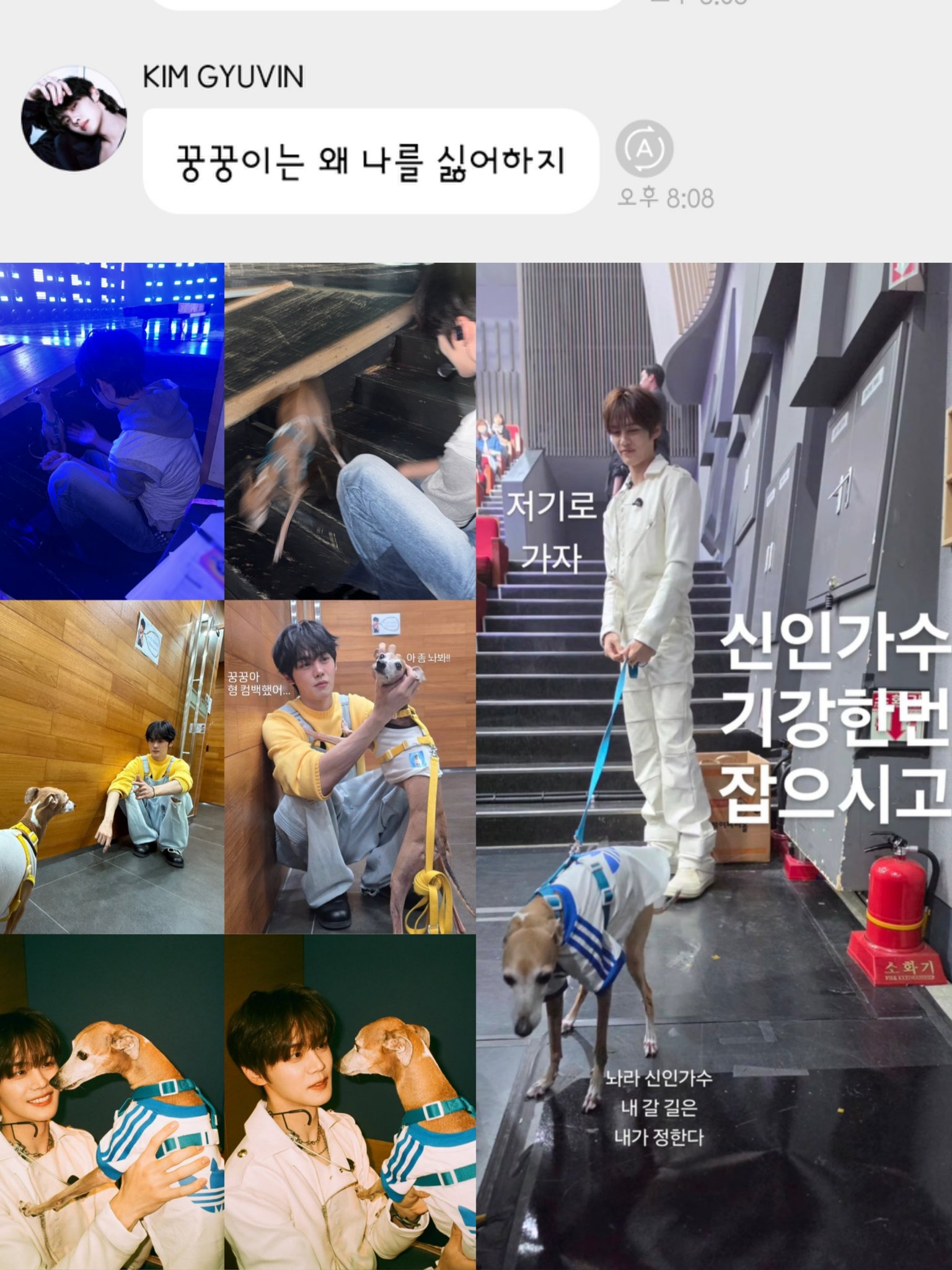 [잡담] 꿍꿍이(음중피디님 강아지) 권력 뭐냐고 | 인스티즈