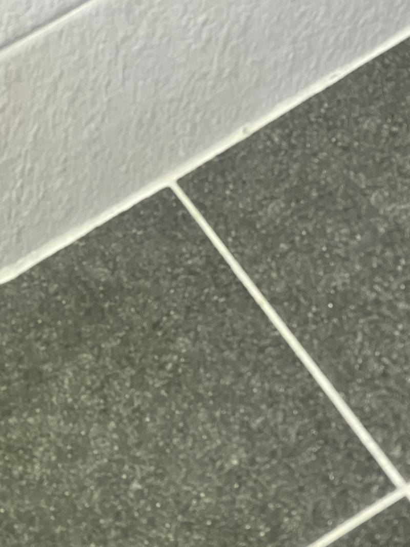 [잡담] 화장실 청소세제 추천합니다. (오늘 오전에 청소하고 깨끗한 줄눈 인증 사진도 있음) | 인스티즈