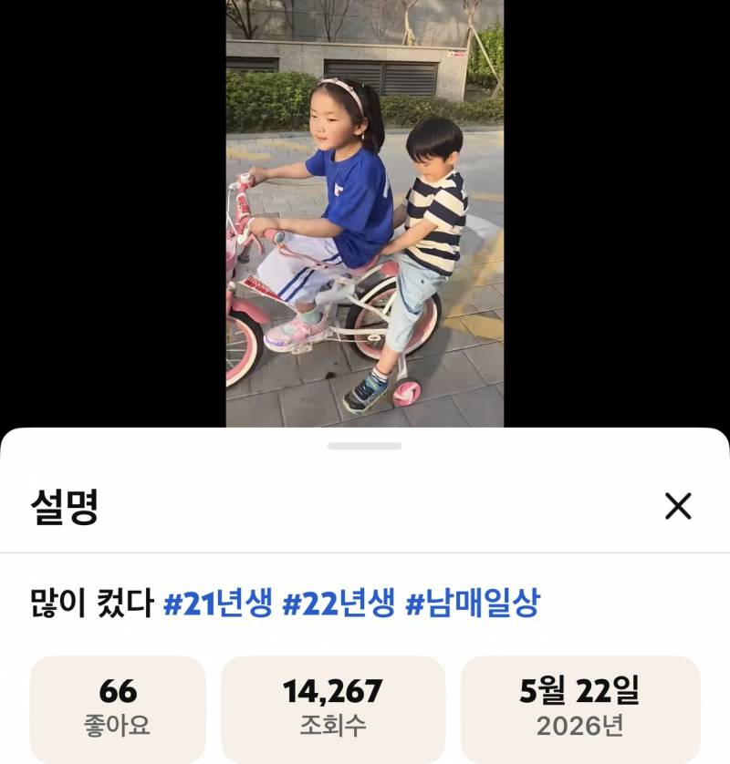 와 이게 5-6살 애기들이래 | 인스티즈
