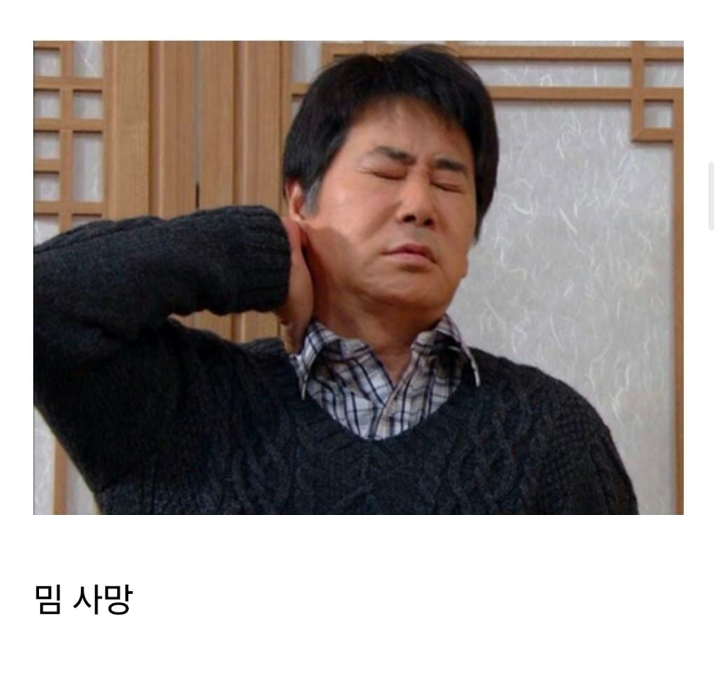 [잡담] 영크크밈 사망선고…… | 인스티즈