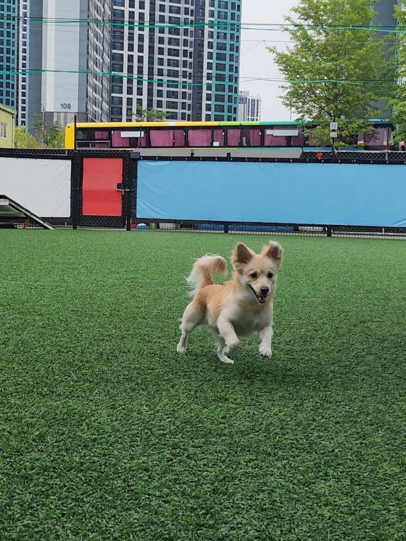 [잡담] 내 똥강지 귀엽지 | 인스티즈