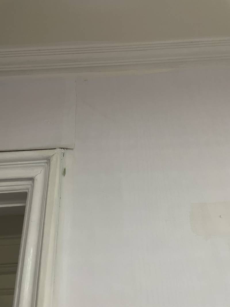 [잡담] (혐오주의) 벌레사진o 아니 이거 무슨벌레야? | 인스티즈